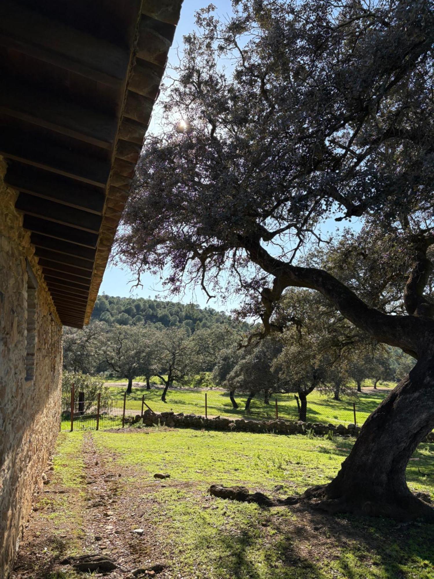 Finca Los Caleros Juan Gallegos Eksteriør bilde